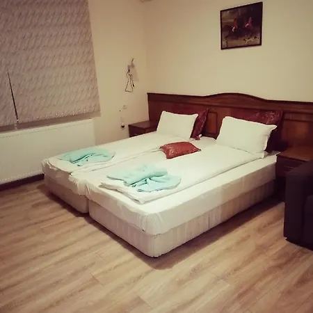 Nani Asenovgrad